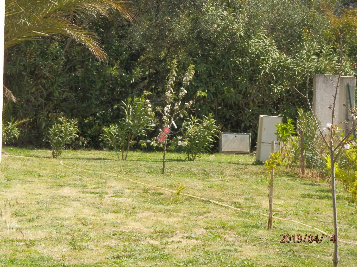 Location Vacances Linguizzetta Exteriör bild